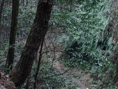 -南山风景名胜区