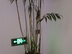 -LANN I 蘭 SPA(陆家嘴中心店)