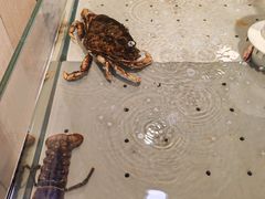-永辉超市(回龙观店)