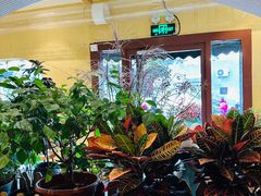 -萤火虫咖啡(后海店)
