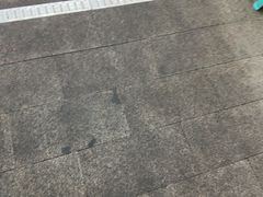 -皮记海鲜1995(寮步店)