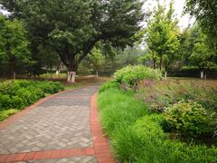 -永定河休闲森林公园