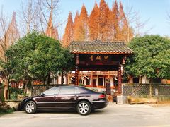 -青城甲(青城山店)