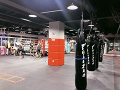 -TFC 纯泰拳馆MuayThai