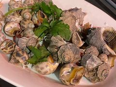 香螺-大厝宅海鲜馆