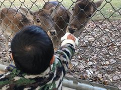 -西安秦岭野生动物园