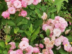 -盘龙城国家考古遗址公园