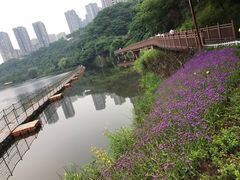 -重庆彩云湖湿地公园