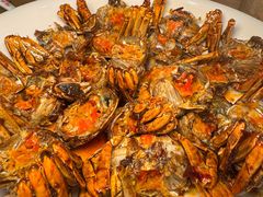 -杨氏青龙虾·羊蝎子(托乐嘉店)