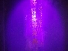 -秃鹫湾·推理大师沉浸式实景演绎推理剧场