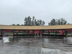 -泗洪洪泽湖湿地景区