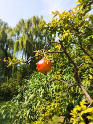 -今日陶艺(富力广场店)