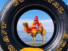 -青海湖国家重点风景名胜区