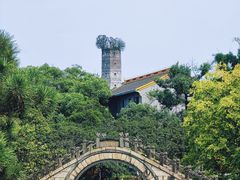 -江心屿景区
