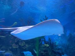 -泉城欧乐堡海洋极地世界