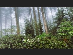 -綦江古剑山