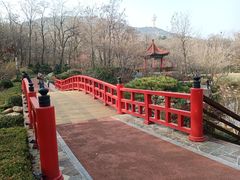-大连植物园