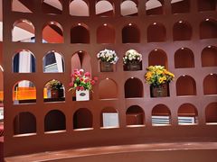 -马白开来特色羊排揪片子  (总店)