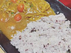 咖喱番茄牛肉饭-胜博殿日式炸猪排(西红门店)