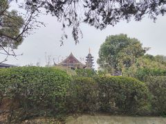 -灵岩山风景区