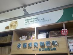 -瑞派长江宠物医院·猫科·外科·24小时夜护(谊城公寓分院)