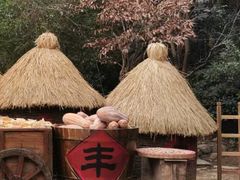 -天目湖山水园
