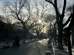-北京国子监胡同