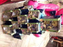 iphone_upload_pic-TEENIE WEENIE(正大广场店)