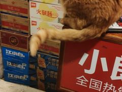 -云南邹记天麻火腿鸡(簇桥店)