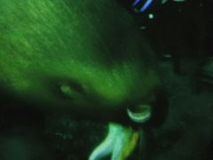 -珠海横琴国家地理探险家中心(创新方)