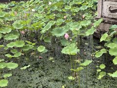 -湘湖大院(越王路店)