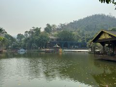 -西双版纳原始森林公园