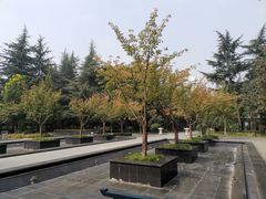 -木塔寺遗址生态公园