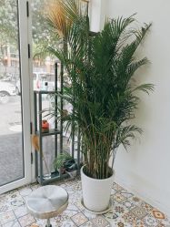 -CHIC 国潮男士发型
