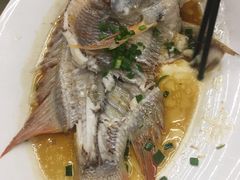 -年辉渔村·非遗传承餐厅(新丰江店)