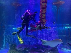 -沈阳海洋探索中心