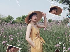 -鹅湖玫瑰文化园
