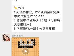 -智韵素养黎明练字(莘庄校区)