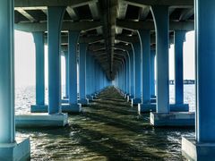 -宝安西湾红树林湿地公园