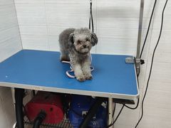 -芭比堂动物医院广州顽皮分院