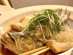 -新乾隆酒楼(帝景园店)