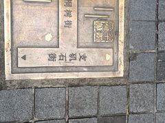 -泡桐树街