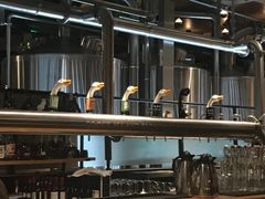 -Goose Island Brewhouse鹅岛精酿啤酒酿造工坊餐厅