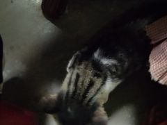 -经典世家牛排(德化万达店)