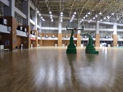 -大连体育中心体育馆