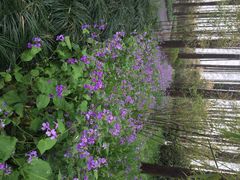 怡沁园度假村-上海怡沁园度假酒店