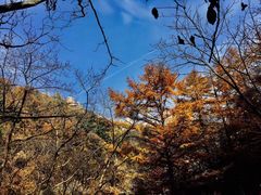-崂山仰口游览区