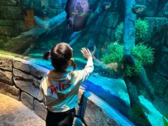 -沈阳海洋探索中心