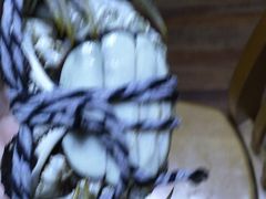 -乡乐园蟹庄·阳澄湖农家乐