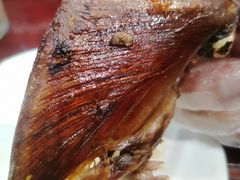 -邵年鸽(杨庄店)